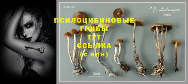 амф Алзамай