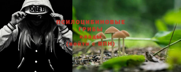 шишки Пересвет