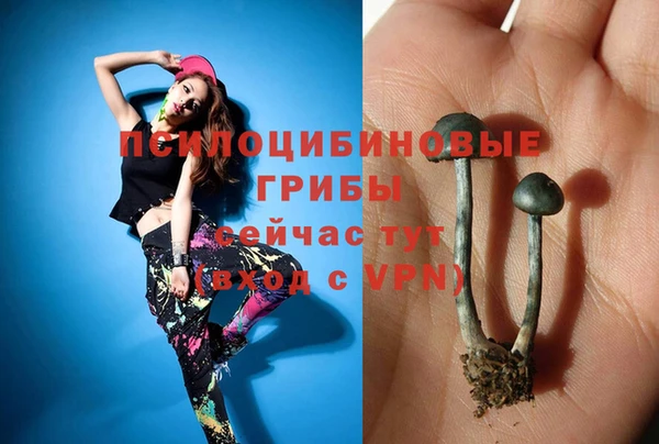 марки nbome Алексеевка