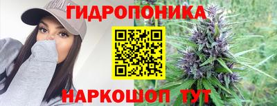 СК Пушкино