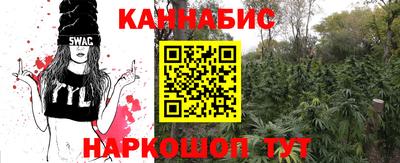 мдпв Пугачёв