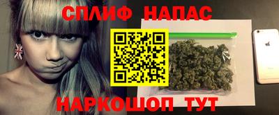 мдпв Пугачёв