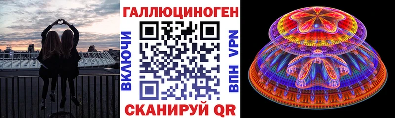 наркотики  Узловая  Псилоцибиновые грибы Psilocybine cubensis 