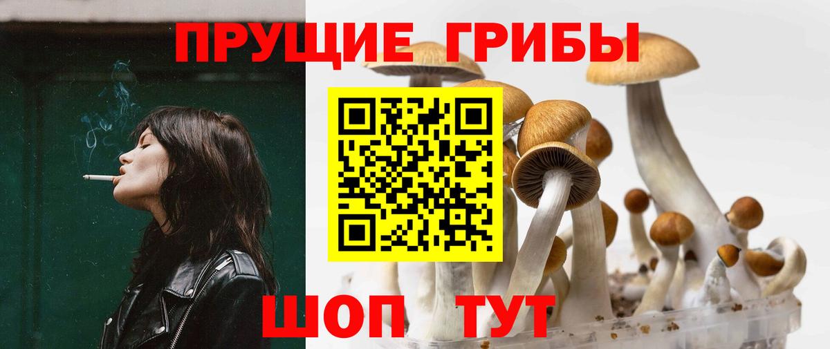 Галлюциногенные грибы GOLDEN TEACHER Узловая