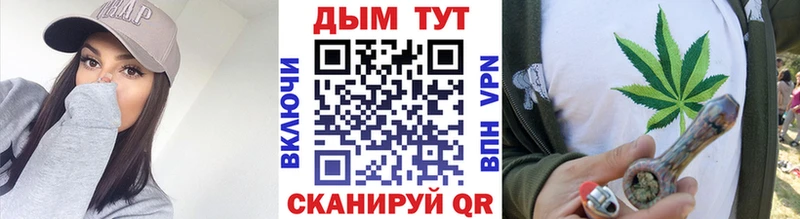 Каннабис конопля Узловая